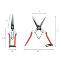 Thinning Shear