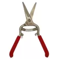 Needlenose Shear Grape 8-Inch