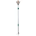 Long Reach Telescopic Fruit Picker - 6-Feet Extension