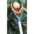 Long Reach Telescopic Fruit Picker - 6-Feet Extension