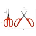 Curved MasaMasa Scissors