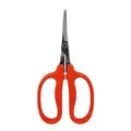 Curved MasaMasa Scissors