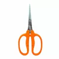 Straight Blade MasaMasa Scissors Orange