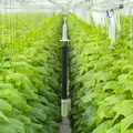 G3 T/RH Sensor with Radiation Shield - Grownetics