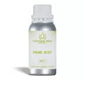 Pine - 37