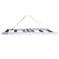 Matrx 420F - Aelius LED