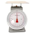 Platform Mechanical Dial Scale 40-Pound