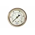 Glycerin Liquid Filled Pressure Gauge-Back Mount - 0-100 PSI