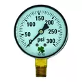 Dry Air Pressure Gauge - 300 PSI