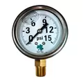 Glycerin Liquid Filled Pressure Gauge - 15 PSI