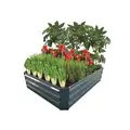 Raised Garden Bed Kit Gray