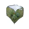 Large Pop-Up Greenhouse 47.3 x 47.3 x 39.4-Inches
