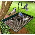 2-in-1 Platform Bird Feeder