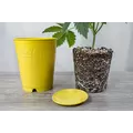 BudCups™ - Self-Draining, Easy-Transplanting Gardening Containers (Pack of 48)