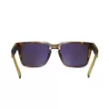 Evolution Sun Tortoise