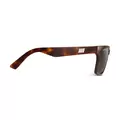 Evolution Sun Tortoise