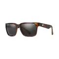 Evolution Sun Tortoise