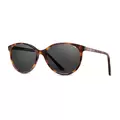 Lennox Sun Tortoise