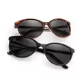 Lennox Sun Tortoise