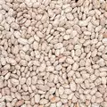 Beans, Pinto - 50lb