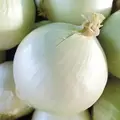 Onion, White Sweet Spanish - 1/2oz