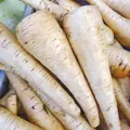 Parsnips, Harris Model - 1lb