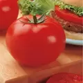 Tomato, Big Beef Untreated - 1,000 Sd Ct
