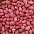 Beans, Red Peanut Bush - 25lb