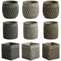 MCarr 90pc Seagrass Planter Pallet Mixed