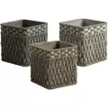 MCarr 72pc Seagrass Square Planter Pallet Mixed