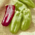 Peppers, Giant Marconi Treated - 100 Seed Count