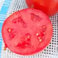 Tomato, Husky Red Hybrid Treated - 500 Seed Count