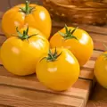 Tomato, Lemon Boy Hybrid Treated - 100 Seed Count