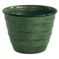 Robert Allen 6" Cobblestone Planter Kale