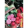 Beets, Chiogga 1/2 oz