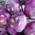 Kohlrabi, Purple Vienna - 1lb