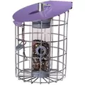 WSP Nuttery Roundhaus Seed Feeder Aubergine