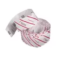 Amblyseius andersoni Bugline sachet 6 x 328 ft 125 mites per sachet( Spider Mite )