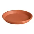 Deroma 6.7" Saucer Terra Cotta Clay Full Pallet