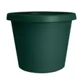 HC 8" Prima Planter Evergreen