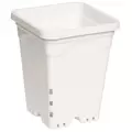 HDF 7"x7" Square White Pot, 9" Tall