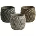 MCarr 48pc Seagrass Planter Pallet Mixed
