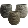MCarr 24pc Seagrass Teardrop Planter Pallet Mixed