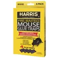 Harris 4pk Mouse Glue Traps