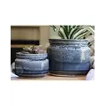 Jewel 4.5" Self Watering Pot Bts