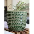 Palm Spring 6.5" Honey Comb Planter Emr