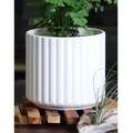Palm Spring 8" Brush Comb Planter Mwh