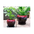 Verandah Gerberba Size A Rbk