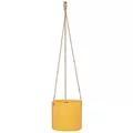 Scheurich 6.25" Zabaione 429/16 Hanging Pot