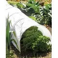 WSP 10'x1'6" Polythene Grow Tunnel